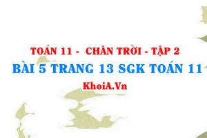 Bài 5 trang 13 Toán 11 Tập 2 Chân trời sáng tạo